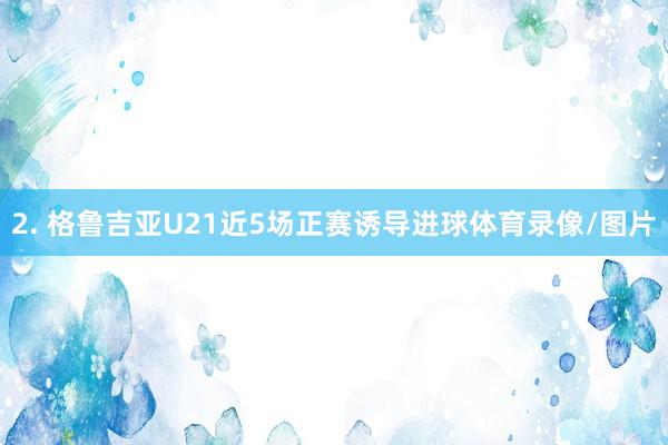 2. 格鲁吉亚U21近5场正赛诱导进球体育录像/图片
