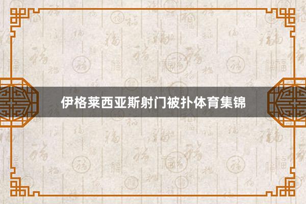 伊格莱西亚斯射门被扑体育集锦